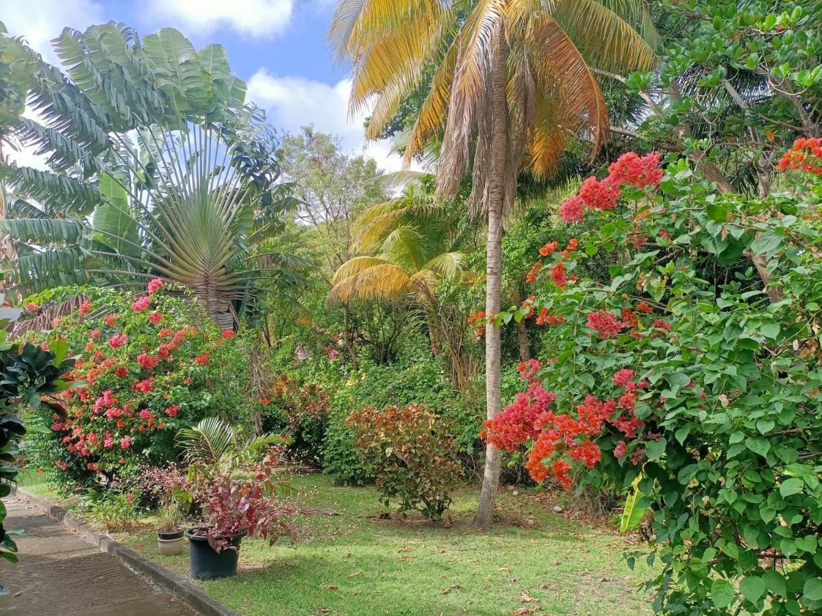 Villa Le Colibri Ble Sainte-Anne Exterior foto